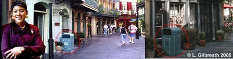 Kimberly Williamson Butler Campaign Website picture vs. Disneyland picture