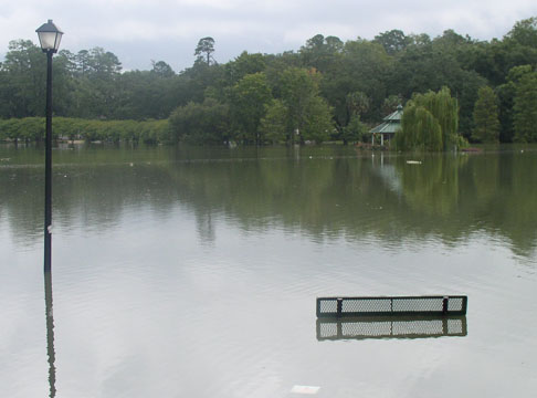 Lake Ella flooding due to Tropical Storm Fay