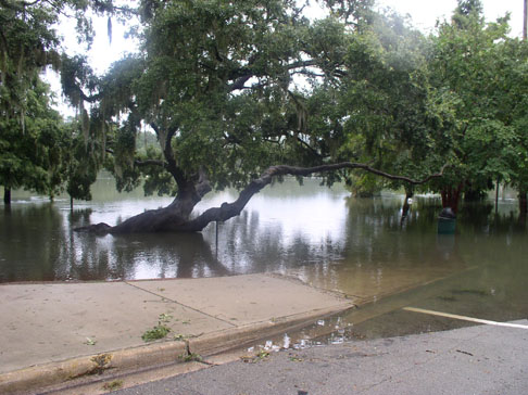 Lake Ella flooding due to Tropical Storm Fay