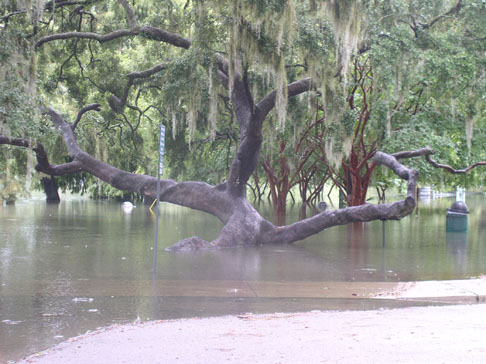 Lake Ella flooding due to Tropical Storm Fay