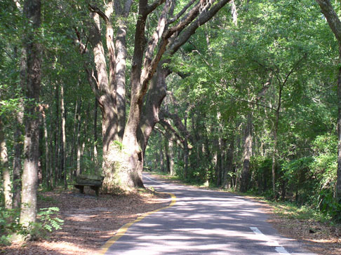 Marjorie Turnbill Trail at J Lee Vause Park