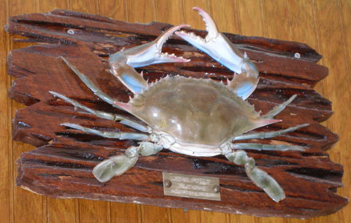 Posey's Up The Creek Seafood Steam Room and Oyster Bar on U.S. Highway 98 in Panacea, Florida